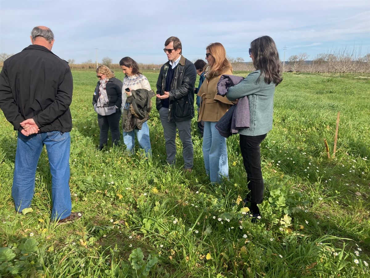 Living Lab in Portugal - Alentejo
