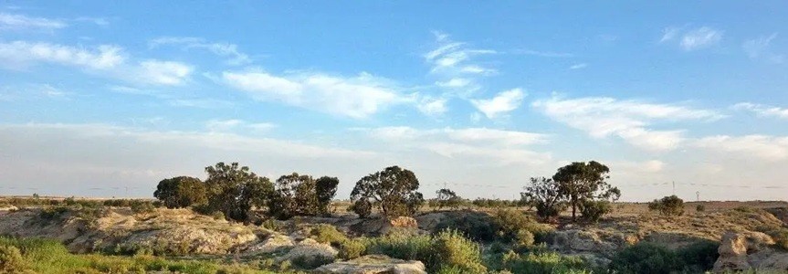Gabes coastal area, Tunisia