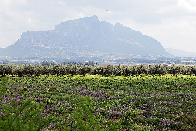 Mornag plain study site, Tunisia